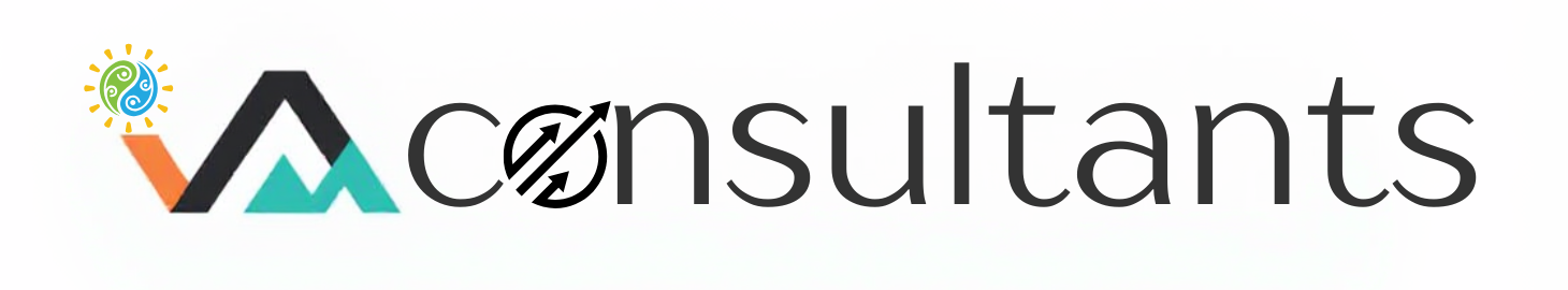 visa cunsaltant logo